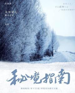 Vinsbäh腕宝:高颜值实力派