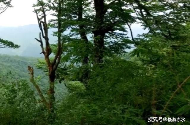 决战！平安京