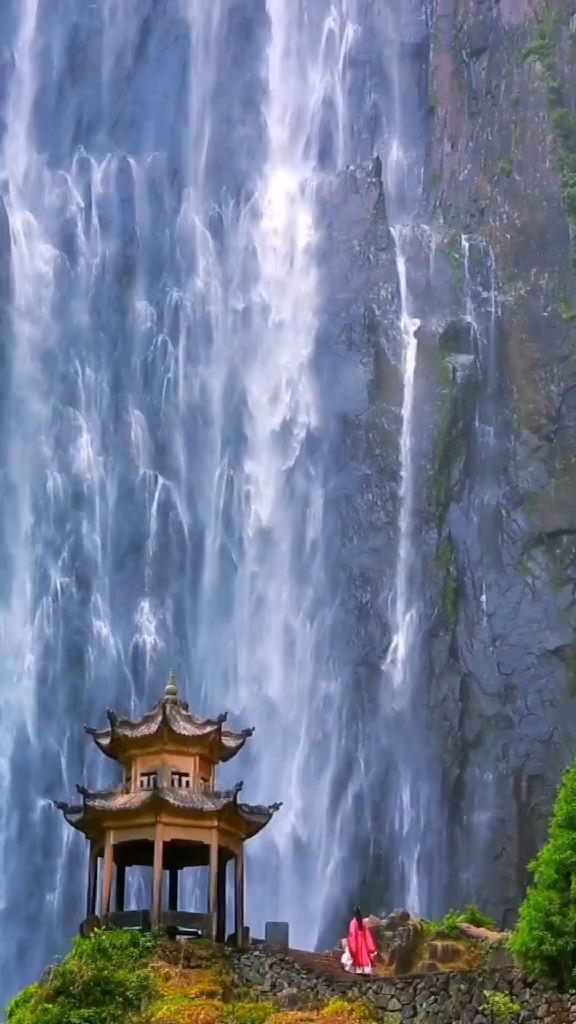 鸡蛋营养高　蛋黄不能少