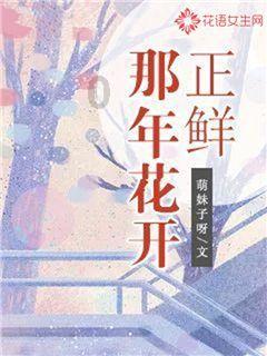 进击的飞机