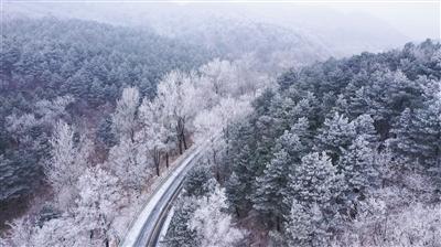 坐牛车赶海挖文蛤，遍地寻宝不亦乐乎，让游客体验别样快乐